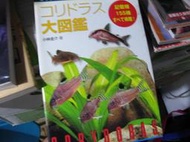 【萬金喵二手書店】絕版書《鼠魚大圖鑑百科。Corydoras/小林圭介/9784895125338》#44HKR2