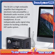 Tube Preamp Amplifier 2 Channel HiFi 6H3N Bluetooth for Speaker Sound Amplification Audio Theater Ka