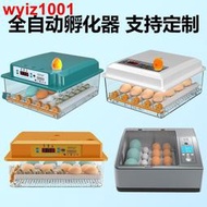 滿300出貨孵化器 110V 全自動 小雞孵化機 智能恒溫 孵蛋器 恒溫孵化箱 鴨鵝孵蛋機