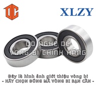 XLZY Bearing 3206 3308 3303 3207 3307 3201 3200 3202 3204 3302 3212 3306 3300 3304 3209 3211 3305 32