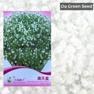 [Ready Stock] Flower Seed Gypsophila Biji Benih Gypsophila满天星花种子
