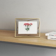 Umbra | 幾何線條相框(質感金4x6吋) | 畫框