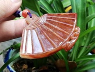 翡翠A貨【玉扇子】 
紅翡，大小52x60x5.7mm，全紅翡色飄白冰，有水頭，質地細已化開。造型打開之折扇，頂上爬獾。取音積善，寓意家庭和睦，開枝散葉，歡欣美滿。玉件無紋無裂，品相完好，附上證書。馬
