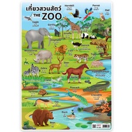 Pp Poster A4 Zoo EA-380