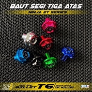 NINJA RR NEW/OLD 2TC FACTORY UPPER TRIANGLE BOLT