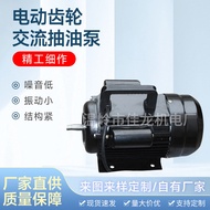 Centrifugal Pump Wholesale Oil Aluminum Alloy Electric Gear AC Oil Pump WCB75 750W