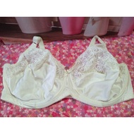 Bra brand Target saiz 46DD