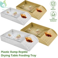 Tortoise Food Dish Reptile Water Food Bowls with Anti-Slip Ramp Reptile Water Dish Reusable Turtle R
