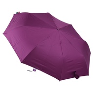 Fibrella UV Block Plus Automatic Umbrella F00383 (Velvet Purple)-C