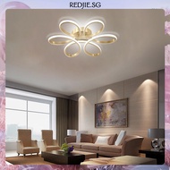 [Redjie.sg] Modern LED Flower Ceiling Lights LED Aisle Ceiling Lamp for Bedroom Living Room