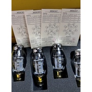 Dawning Replica Western Electric WE 6CA7 Tube Generation Russia EL34 6CA7 6550 6L6