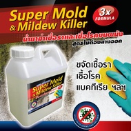 ไดโน น้ำยาฆ่าเชื้อรา ตะไคร่น้ำ และเชื้อโรค บนผนัง กำแพง dyno super mold and mildew killer