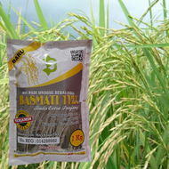Padi Basmati / Bibit