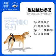 Ready Stock [More Pet Universe] Dog Auxiliary Belt/Pet Auxiliary Belt/Old Dog Auxiliary Belt/Auxilia