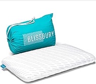 BLISSBURY 3.3 Inch Super Thin Pillow for Sleeping | Premium Memory Foam Flat Pillow for Stomach Sleeper | Back &amp; Stomach Sleeping Pillow | Certified Foam for Neck &amp; Back Support, Removable Bamboo Case