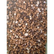Slow Release Fertilizer 缓释慢性肥 50G,100G, 200G,500G