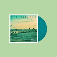 1989 (B&N Exclusive Seafoam Green Vinyl) by Ryan Adams