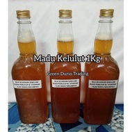 MADU KELULUT 1Kg ORIGINAL