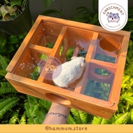 Acrylic Maze Hamster | Hamster Tunnel | Hideout Hamster Toy | Hamster House | Hamster Table | Hamste