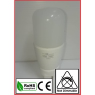 GE-10W DAYLIGHT LED BULB