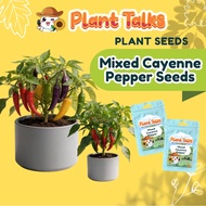 Plant Talks Authentic Mixed Cayenne Pepper Seeds Super Hot Chilli Gardening Seed