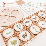 gamchiano Life Cycle Tray Animal Growth Cycle Puzzles Educational School for Toddlers Kids Birthday 