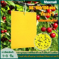 【Maxmall 1- 3 วันส่งของ】100/150/200/500 แผ่นสติกเกอร์สองหน้าแมลงวัน กาวดักแมลงวัน แผ่นกาวดักแมลง แผ่