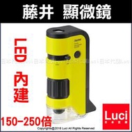 黃色 藤井 RXT300N 內建 LED 攜帶型 顯微鏡 UV紫外線燈 100-250倍 可調焦 迷你 LUCI日本代購