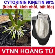 Cytokinin Kinetin 99% with free solvent