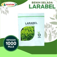 BARU Benih Bibit Selada Larabel 1000 Pills - Bejo Seed ASLI