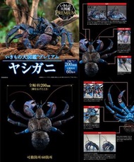[預訂2023年10月] Bandai 扭旦/ 扭蛋 大圖鑑Premium系列椰子蟹 The Diversity of Life on Earth Premium COCONUT CRAB