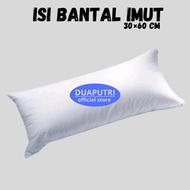 Cute Pillow Insert Size 30x60 Cm