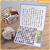 [BlesiyaedMY] Geology GEM Kit for Kids Stemscience Education Gems Collection Geology