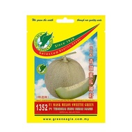 1352 F1 Sweetie Green Mask Melon Seed/ F1 Melon Susu Hijau Manis Benih (8 seeds)