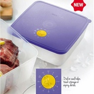 Tupperware FreezerMate Square II (1) 2.3L