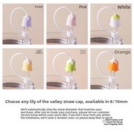Besee | Replacement Extra Long Glass Straw 30cm