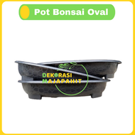 DM - Bjp Bonsai Oval Ov 08 Putih Hitam Merah Bata Coklat Pot Bunga Plastik Bonsai Budi Jaya Motif Ba