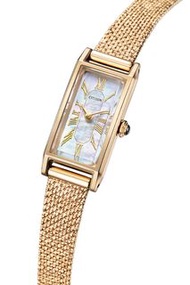 CITIZEN 星辰 Eco-Drive 光動能 女士 EG7043-33D 金色 不銹鋼 皮帶 水晶玻璃錶面 珍珠貝殼錶盤 生活防水 EG704333D