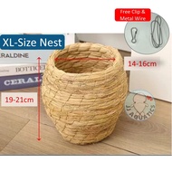 Natural Straw Bird Nest Sarang Burung Parrot Home House Great Ventilation Budgie Lovebird