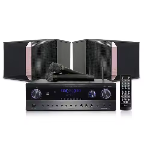 Professional home karaoke 10-inch audio equipment system, KTV speaker set, wireless microphone, USB,