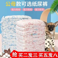 Bitch Physiological Pants Male Dog Dedicated Diaper Dog Diaper Puppy Teddy Safety Menstrual Pants Au