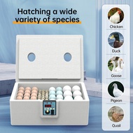 24-hour Thermostatic Small Poultry Egg Incubator Biomimetic Waterbed Fully Automatic Incubator Intel