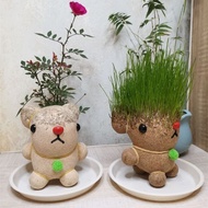Long Grass Doll Pot Indoor Watering Long Grass Plant Doll Small Office Head Long Grass Pot Easy to Keep dnMV