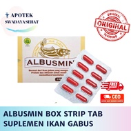Albumin BOX STRIP TABLET - Snakehead Fish Supplement Multivitamin Platelets Health Albumin