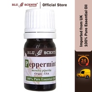 Blu Scents Peppermint Pure Essential Oil - Refreshing, Nausea and Headache Relief, Muscle Relief