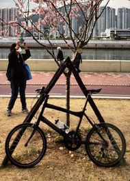 WHEELER 小輪徑單車極之順暢快👍🏻清！爽快交收靚sit