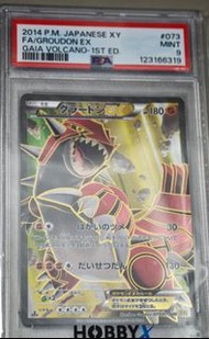Ptcg pokemon 固拉多