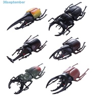 SEPTEMBER Simulation Beetle Non-Toxic Science Toy Insect Toy Simulation Animals Fake Beetle Kids Bee