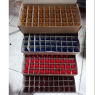 Box of 50 E12 Tail Incandescent Chili Bulbs