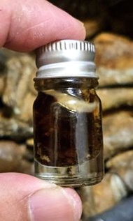 早期外敷 “性”魅力油 2560阿贊屋太